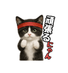 日常会話verマンチカン4（個別スタンプ：17）