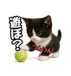 日常会話verマンチカン4（個別スタンプ：18）