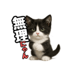 日常会話verマンチカン4（個別スタンプ：19）