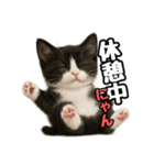 日常会話verマンチカン4（個別スタンプ：27）