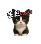 日常会話verマンチカン4（個別スタンプ：29）