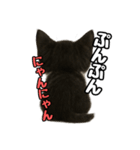日常会話verマンチカン4（個別スタンプ：30）