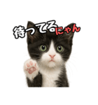 日常会話verマンチカン4（個別スタンプ：35）