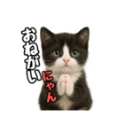 日常会話verマンチカン4（個別スタンプ：39）