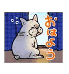 むち〜ぬスタンプ（個別スタンプ：1）