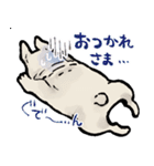 むち〜ぬスタンプ（個別スタンプ：6）