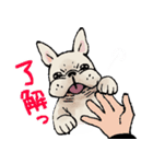 むち〜ぬスタンプ（個別スタンプ：10）