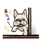 むち〜ぬスタンプ（個別スタンプ：22）