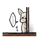 むち〜ぬスタンプ（個別スタンプ：23）