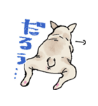 むち〜ぬスタンプ（個別スタンプ：31）