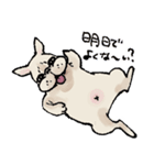むち〜ぬスタンプ（個別スタンプ：36）