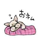 むち〜ぬスタンプ（個別スタンプ：37）