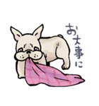 むち〜ぬスタンプ（個別スタンプ：38）