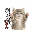 日常会話verミヌエット（個別スタンプ：1）