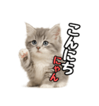 日常会話verミヌエット（個別スタンプ：2）