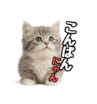 日常会話verミヌエット（個別スタンプ：3）
