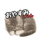 日常会話verミヌエット（個別スタンプ：4）