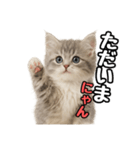 日常会話verミヌエット（個別スタンプ：5）