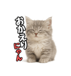 日常会話verミヌエット（個別スタンプ：8）