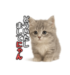 日常会話verミヌエット（個別スタンプ：10）