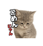 日常会話verミヌエット（個別スタンプ：11）