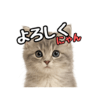 日常会話verミヌエット（個別スタンプ：12）