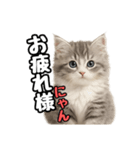日常会話verミヌエット（個別スタンプ：13）