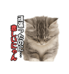 日常会話verミヌエット（個別スタンプ：14）