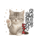 日常会話verミヌエット（個別スタンプ：15）