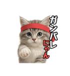 日常会話verミヌエット（個別スタンプ：16）