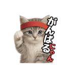 日常会話verミヌエット（個別スタンプ：17）