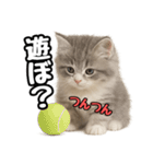 日常会話verミヌエット（個別スタンプ：18）