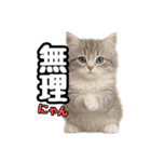 日常会話verミヌエット（個別スタンプ：19）