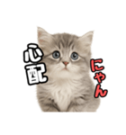 日常会話verミヌエット（個別スタンプ：22）