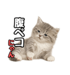 日常会話verミヌエット（個別スタンプ：23）