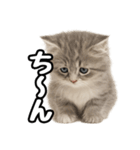 日常会話verミヌエット（個別スタンプ：24）