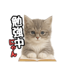 日常会話verミヌエット（個別スタンプ：26）