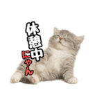 日常会話verミヌエット（個別スタンプ：27）