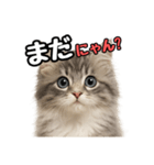 日常会話verミヌエット（個別スタンプ：29）