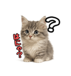 日常会話verミヌエット（個別スタンプ：32）