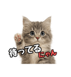 日常会話verミヌエット（個別スタンプ：35）