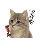 日常会話verミヌエット（個別スタンプ：36）