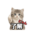 日常会話verミヌエット（個別スタンプ：37）
