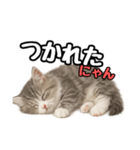 日常会話verミヌエット（個別スタンプ：38）