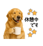 ゴールデンレトリバー☆毎日使う！返信集（個別スタンプ：6）