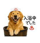 ゴールデンレトリバー☆毎日使う！返信集（個別スタンプ：10）