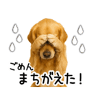 ゴールデンレトリバー☆毎日使う！返信集（個別スタンプ：17）