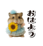 アイドルはむちゃんの日常フレーズ（個別スタンプ：1）