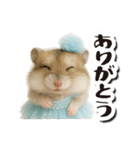 アイドルはむちゃんの日常フレーズ（個別スタンプ：3）