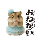 アイドルはむちゃんの日常フレーズ（個別スタンプ：8）